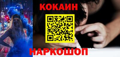 крисы Моздок