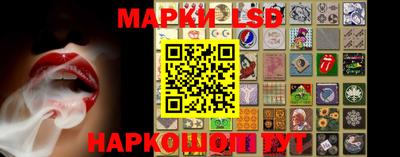 крисы Моздок