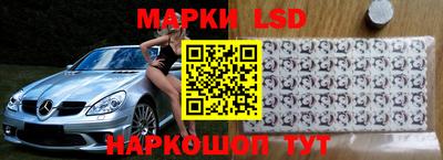 крисы Моздок