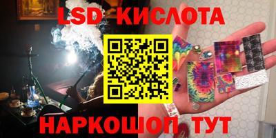 крисы Моздок