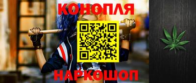 крисы Моздок