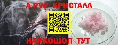 крисы Моздок