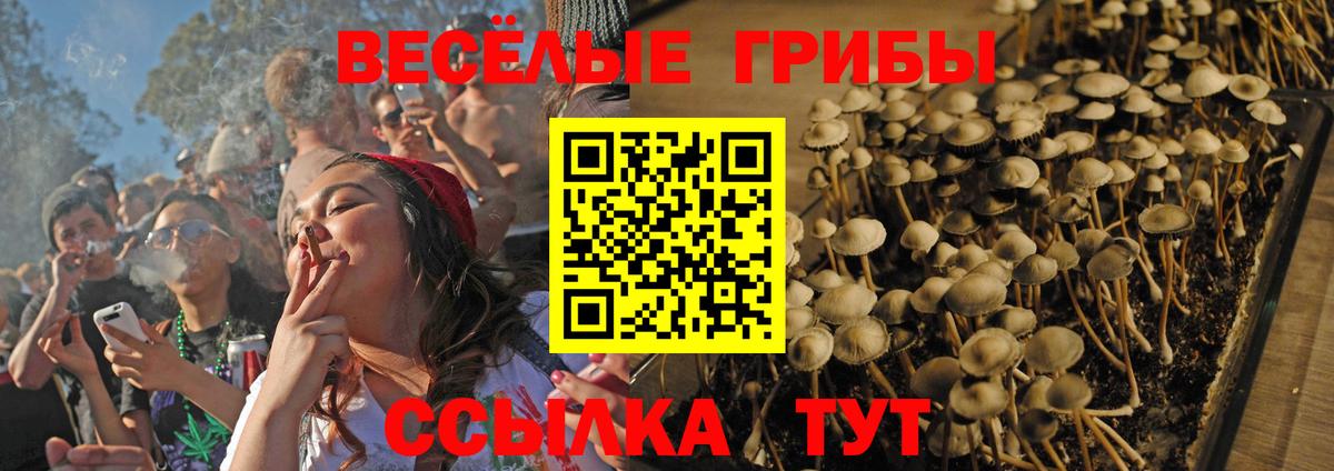 Галлюциногенные грибы мухоморы Таганрог
